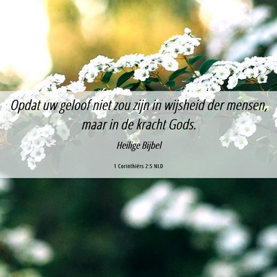 Picture 06 - 1 Corinthiërs 2:5 NLD - Opdat uw geloof niet zou zijn in wijsheid der - Bible Verse Picture