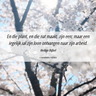 Picture 06 - 1 Corinthiërs 3:8 NLD - En die plant, en die nat maakt, zijn een; maar - Bible Verse Picture