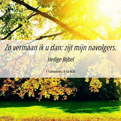 Picture 06 - 1 Corinthiërs 4:16 NLD - Zo vermaan ik u dan: zijt mijn - Bible Verse Picture