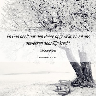 Picture 06 - 1 Corinthiërs 6:14 NLD - En God heeft ook den Heere opgewekt, en zal ons - Bible Verse Picture
