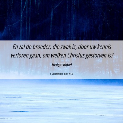 Picture 06 - 1 Corinthiërs 8:11 NLD - En zal de broeder, die zwak is, door uw kennis - Bible Verse Picture