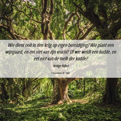 Picture 06 - 1 Corinthiërs 9:7 NLD - Wie dient ooit in den krijg op eigen bezoldiging? - Bible Verse Picture