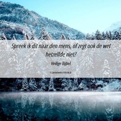 Picture 06 - 1 Corinthiërs 9:8 NLD - Spreek ik dit naar den mens, of zegt ook de wet - Bible Verse Picture