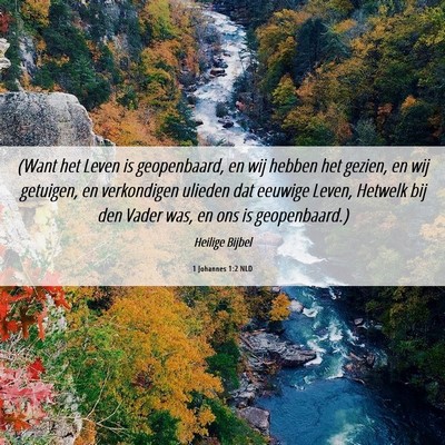 Picture 06 - 1 Johannes 1:2 NLD - (Want het Leven is geopenbaard, en wij hebben het - Bible Verse Picture