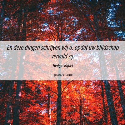 Picture 06 - 1 Johannes 1:4 NLD - En deze dingen schrijven wij u, opdat uw - Bible Verse Picture