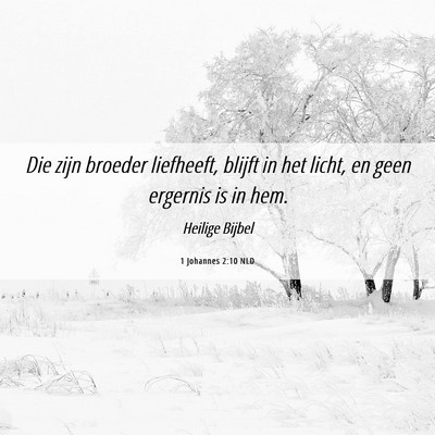 Picture 06 - 1 Johannes 2:10 NLD - Die zijn broeder liefheeft, blijft in het licht, - Bible Verse Picture