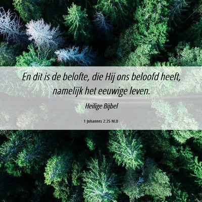 Picture 06 - 1 Johannes 2:25 NLD - En dit is de belofte, die Hij ons beloofd heeft, - Bible Verse Picture