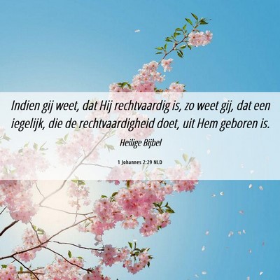 Picture 06 - 1 Johannes 2:29 NLD - Indien gij weet, dat Hij rechtvaardig is, zo weet - Bible Verse Picture