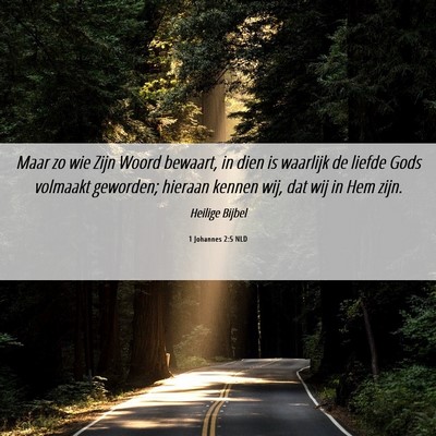 Picture 06 - 1 Johannes 2:5 NLD - Maar zo wie Zijn Woord bewaart, in dien is - Bible Verse Picture