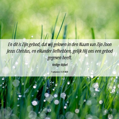 Picture 06 - 1 Johannes 3:23 NLD - En dit is Zijn gebod, dat wij geloven in den Naam - Bible Verse Picture