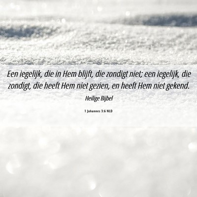 Picture 06 - 1 Johannes 3:6 NLD - Een iegelijk, die in Hem blijft, die zondigt - Bible Verse Picture