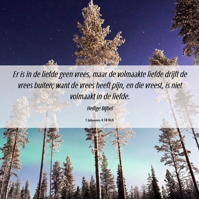 Picture 06 - 1 Johannes 4:18 NLD - Er is in de liefde geen vrees, maar de volmaakte - Bible Verse Picture