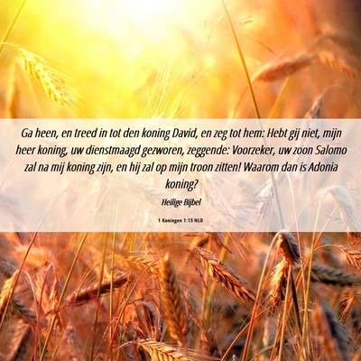 Picture 06 - 1 Koningen 1:13 NLD - Ga heen, en treed in tot den koning David, en zeg - Bible Verse Picture