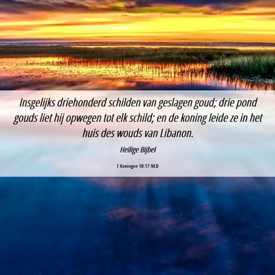 Picture 06 - 1 Koningen 10:17 NLD - Insgelijks driehonderd schilden van geslagen - Bible Verse Picture
