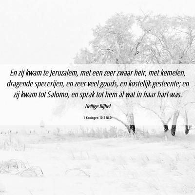 Picture 06 - 1 Koningen 10:2 NLD - En zij kwam te Jeruzalem, met een zeer zwaar - Bible Verse Picture