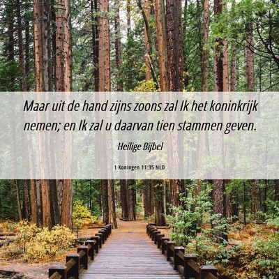 Picture 06 - 1 Koningen 11:35 NLD - Maar uit de hand zijns zoons zal Ik het - Bible Verse Picture