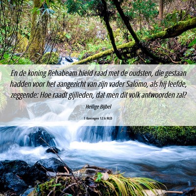 Picture 06 - 1 Koningen 12:6 NLD - En de koning Rehabeam hield raad met de oudsten, - Bible Verse Picture