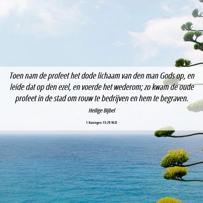 Picture 06 - 1 Koningen 13:29 NLD - Toen nam de profeet het dode lichaam van den man - Bible Verse Picture