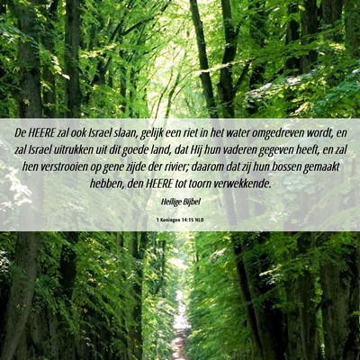 Picture 06 - 1 Koningen 14:15 NLD - De HEERE zal ook Israel slaan, gelijk een riet in - Bible Verse Picture