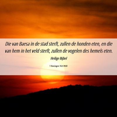 Picture 06 - 1 Koningen 16:4 NLD - Die van Baesa in de stad sterft, zullen de honden - Bible Verse Picture