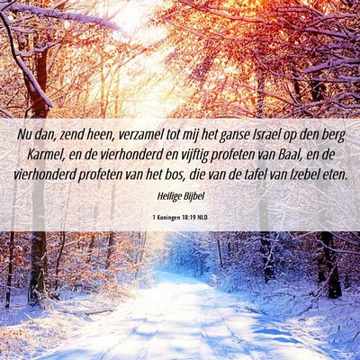Picture 06 - 1 Koningen 18:19 NLD - Nu dan, zend heen, verzamel tot mij het ganse - Bible Verse Picture