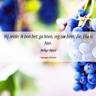 Picture 06 - 1 Koningen 18:8 NLD - Hij zeide: Ik ben het; ga heen, zeg uw heer: Zie, - Bible Verse Picture