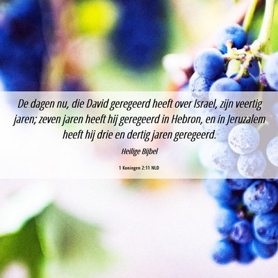Picture 06 - 1 Koningen 2:11 NLD - De dagen nu, die David geregeerd heeft over - Bible Verse Picture