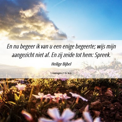 Picture 06 - 1 Koningen 2:16 NLD - En nu begeer ik van u een enige begeerte; wijs - Bible Verse Picture