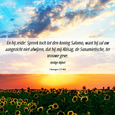 Picture 06 - 1 Koningen 2:17 NLD - En hij zeide: Spreek toch tot den koning Salomo, - Bible Verse Picture