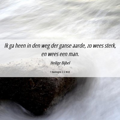 Picture 06 - 1 Koningen 2:2 NLD - Ik ga heen in den weg der ganse aarde, zo wees - Bible Verse Picture