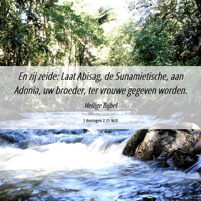 Picture 06 - 1 Koningen 2:21 NLD - En zij zeide: Laat Abisag, de Sunamietische, aan - Bible Verse Picture