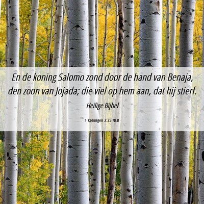 Picture 06 - 1 Koningen 2:25 NLD - En de koning Salomo zond door de hand van Benaja, - Bible Verse Picture