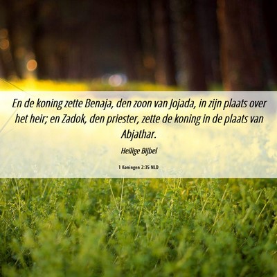 Picture 06 - 1 Koningen 2:35 NLD - En de koning zette Benaja, den zoon van Jojada, - Bible Verse Picture