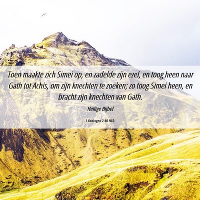 Picture 06 - 1 Koningen 2:40 NLD - Toen maakte zich Simei op, en zadelde zijn ezel, - Bible Verse Picture