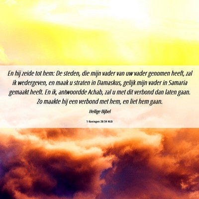 Picture 06 - 1 Koningen 20:34 NLD - En hij zeide tot hem: De steden, die mijn vader - Bible Verse Picture
