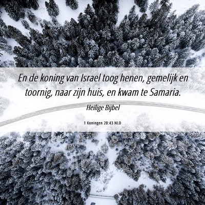 Picture 06 - 1 Koningen 20:43 NLD - En de koning van Israel toog henen, gemelijk en - Bible Verse Picture