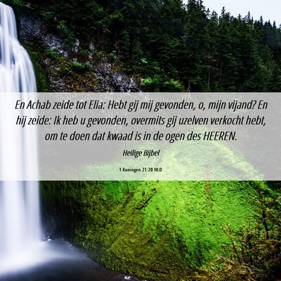 Picture 06 - 1 Koningen 21:20 NLD - En Achab zeide tot Elia: Hebt gij mij gevonden, - Bible Verse Picture