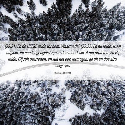 Picture 06 - 1 Koningen 22:22 NLD - (22:21) En de HEERE zeide tot hem: Waarmede? - Bible Verse Picture