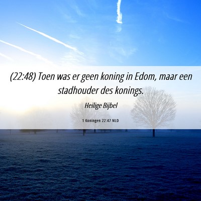 Picture 06 - 1 Koningen 22:47 NLD - (22:48) Toen was er geen koning in Edom, maar een - Bible Verse Picture