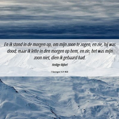 Picture 06 - 1 Koningen 3:21 NLD - En ik stond in de morgen op, om mijn zoon te - Bible Verse Picture