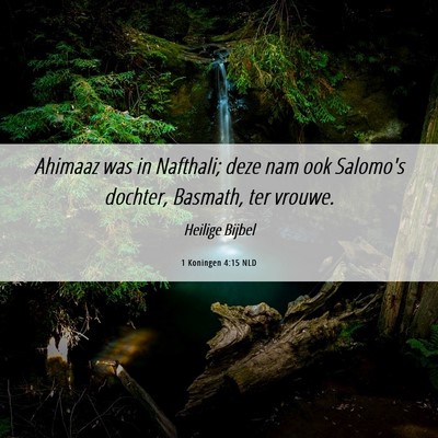 Picture 06 - 1 Koningen 4:15 NLD - Ahimaaz was in Nafthali; deze nam ook Salomo's - Bible Verse Picture