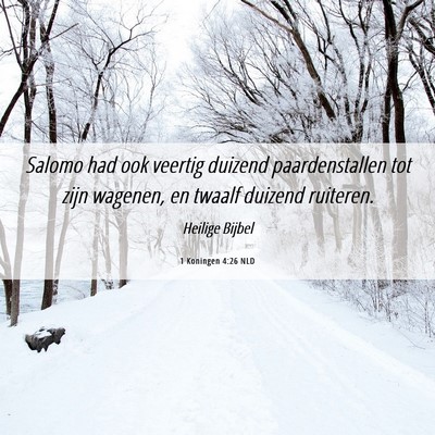 Picture 06 - 1 Koningen 4:26 NLD - Salomo had ook veertig duizend paardenstallen tot - Bible Verse Picture