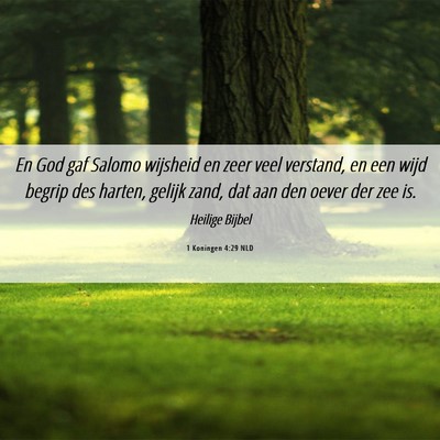 Picture 06 - 1 Koningen 4:29 NLD - En God gaf Salomo wijsheid en zeer veel verstand, - Bible Verse Picture