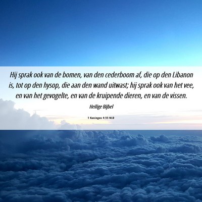 Picture 06 - 1 Koningen 4:33 NLD - Hij sprak ook van de bomen, van den cederboom af, - Bible Verse Picture