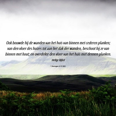 Picture 06 - 1 Koningen 6:15 NLD - Ook bouwde hij de wanden van het huis van binnen - Bible Verse Picture