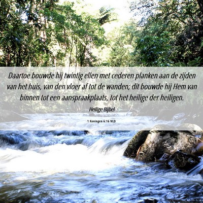 Picture 06 - 1 Koningen 6:16 NLD - Daartoe bouwde hij twintig ellen met cederen - Bible Verse Picture