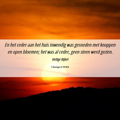 Picture 06 - 1 Koningen 6:18 NLD - En het ceder aan het huis inwendig was gesneden - Bible Verse Picture
