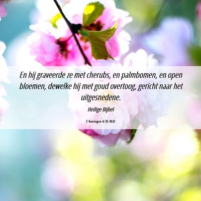 Picture 06 - 1 Koningen 6:35 NLD - En hij graveerde ze met cherubs, en palmbomen, en - Bible Verse Picture