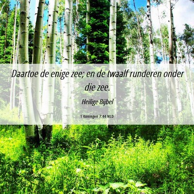 Picture 06 - 1 Koningen 7:44 NLD - Daartoe de enige zee; en de twaalf runderen onder - Bible Verse Picture