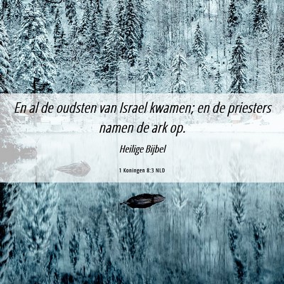 Picture 06 - 1 Koningen 8:3 NLD - En al de oudsten van Israel kwamen; en de - Bible Verse Picture